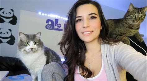 alinity cat|Twitch Streamer Alinity Accused of Animal Abuse After Throwing Cat。